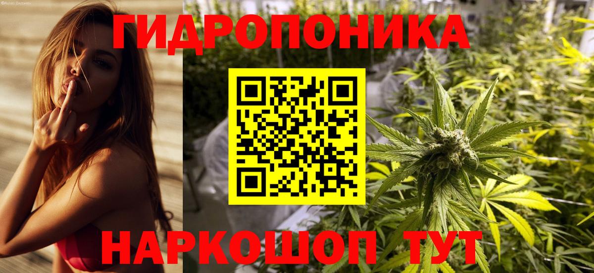 Бошки Шишки гибрид Ялуторовск